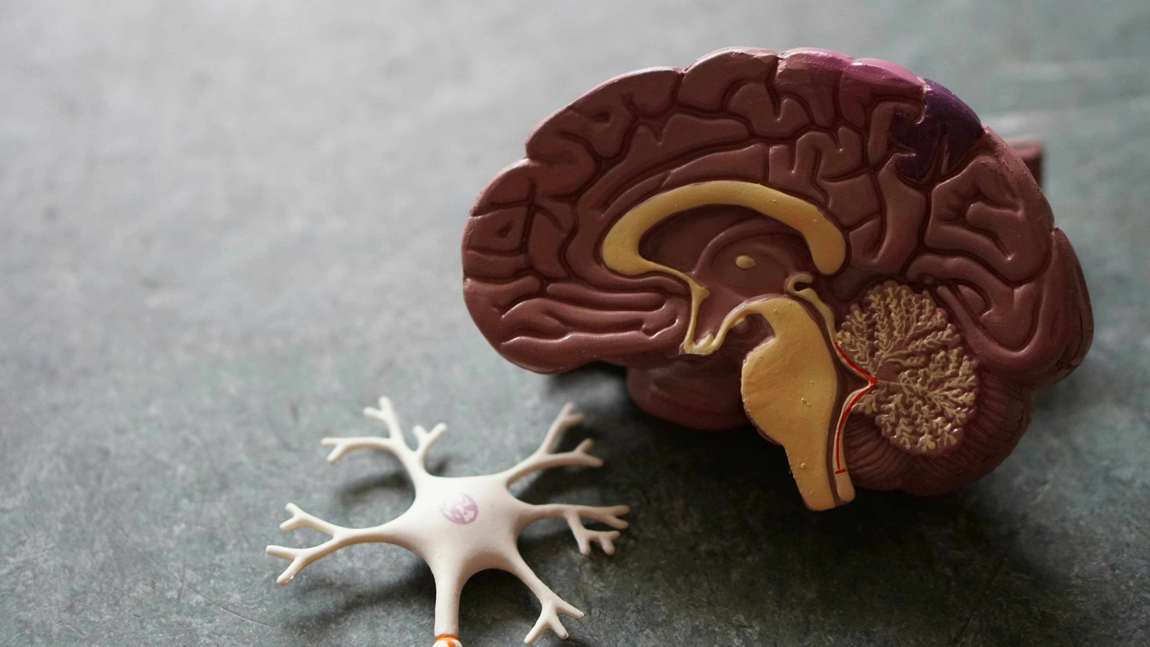 Neurological Therapy